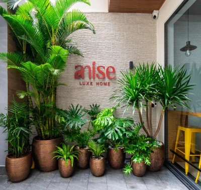 Anise Luxe Home – Fotos 11